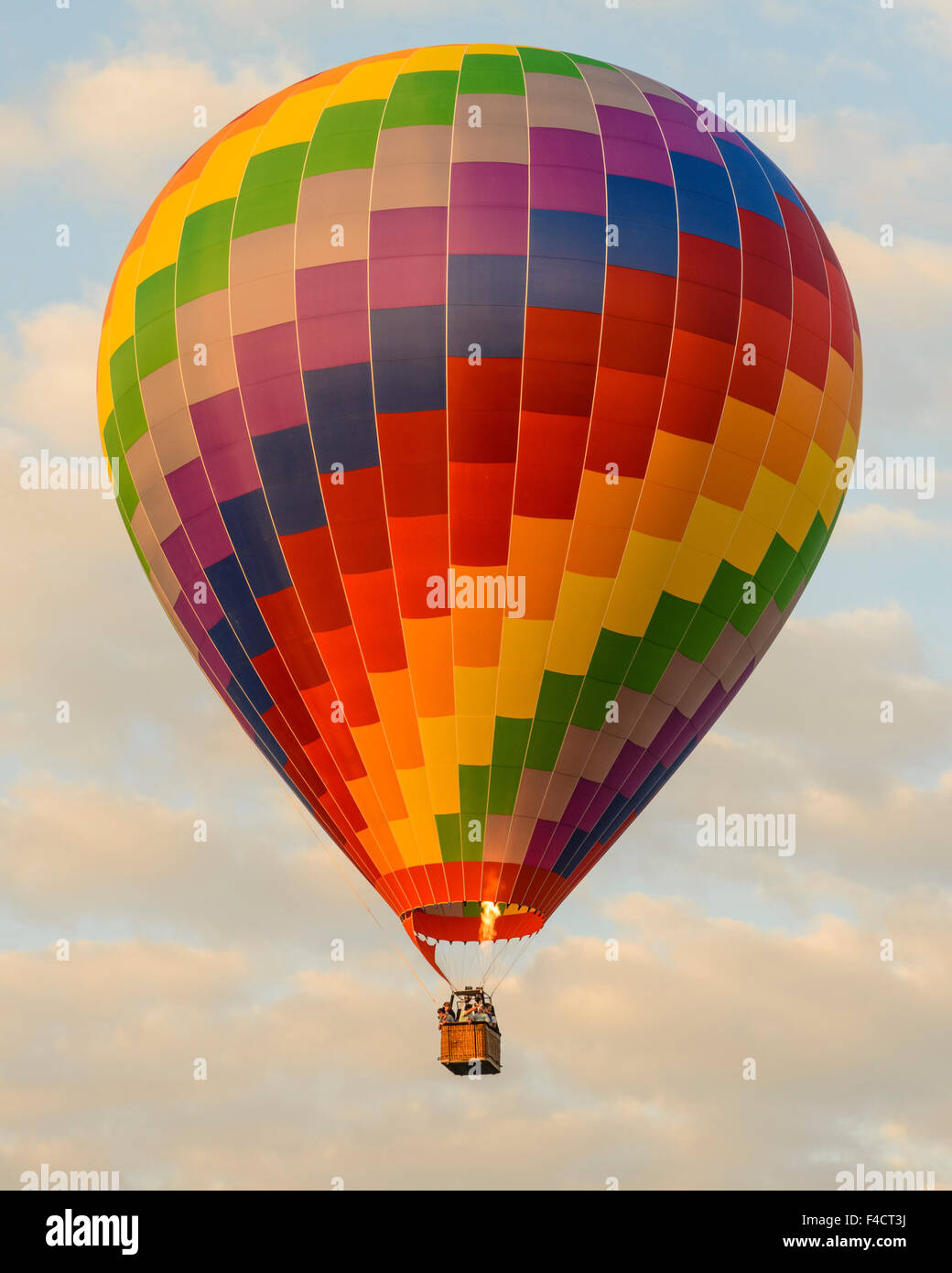 large hot air balloon