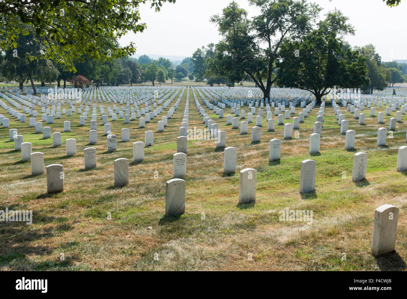 Rows of small white headstones at Arlington National Cemetery,VA Stock Photo
