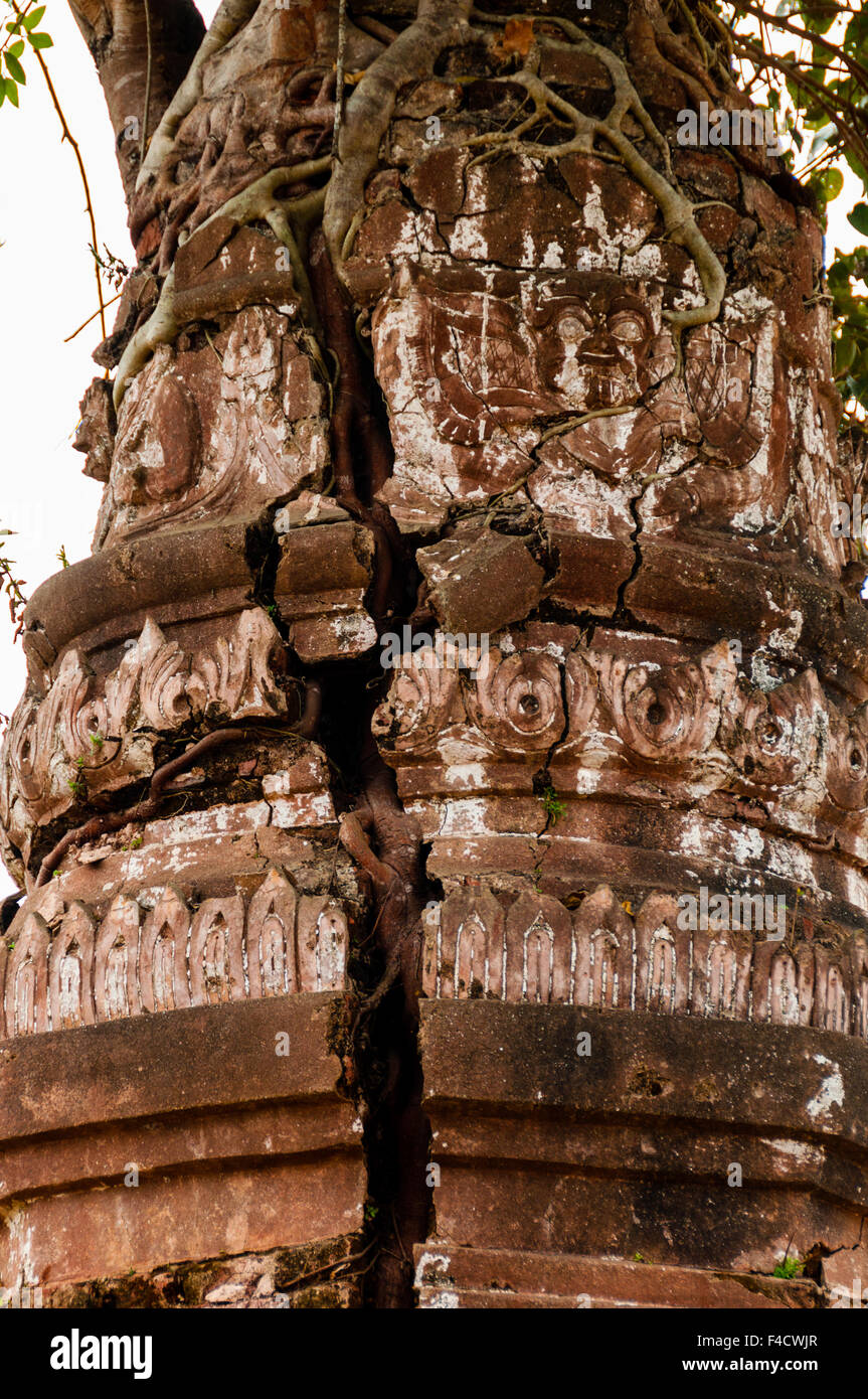 Regrowing Temples Close up of tree growing out a temple Stock Photo - Alamy