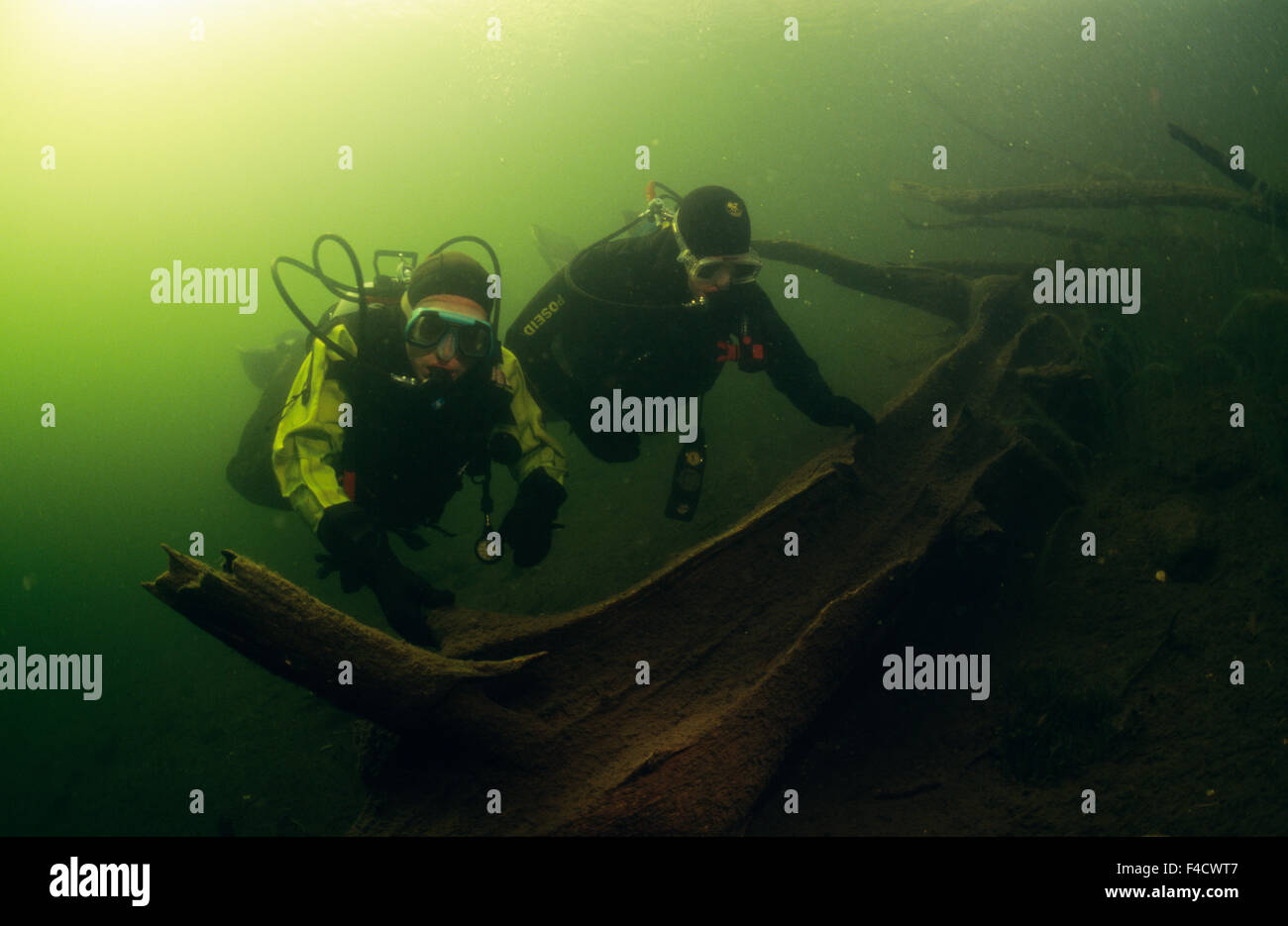Two divers by thick wood underwater Stock Photo Alamy