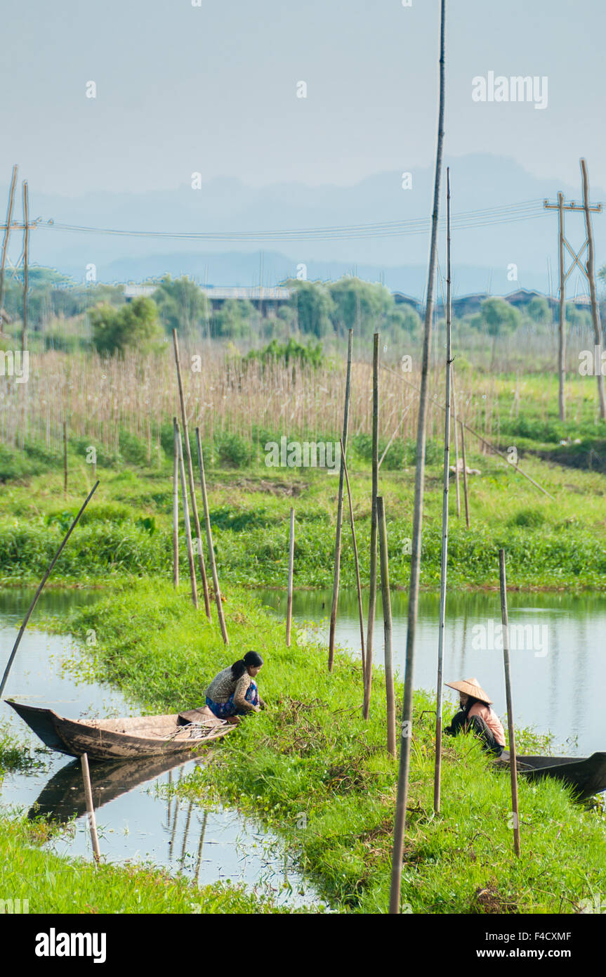 Two farmer working from boat at floating garden Stock Photo