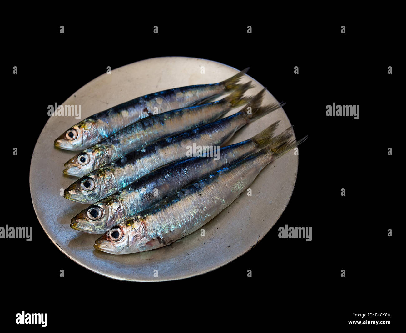 Healthy oily fish aka pilchards. Isolated on black. Harsh lighting for effect. Stock Photo