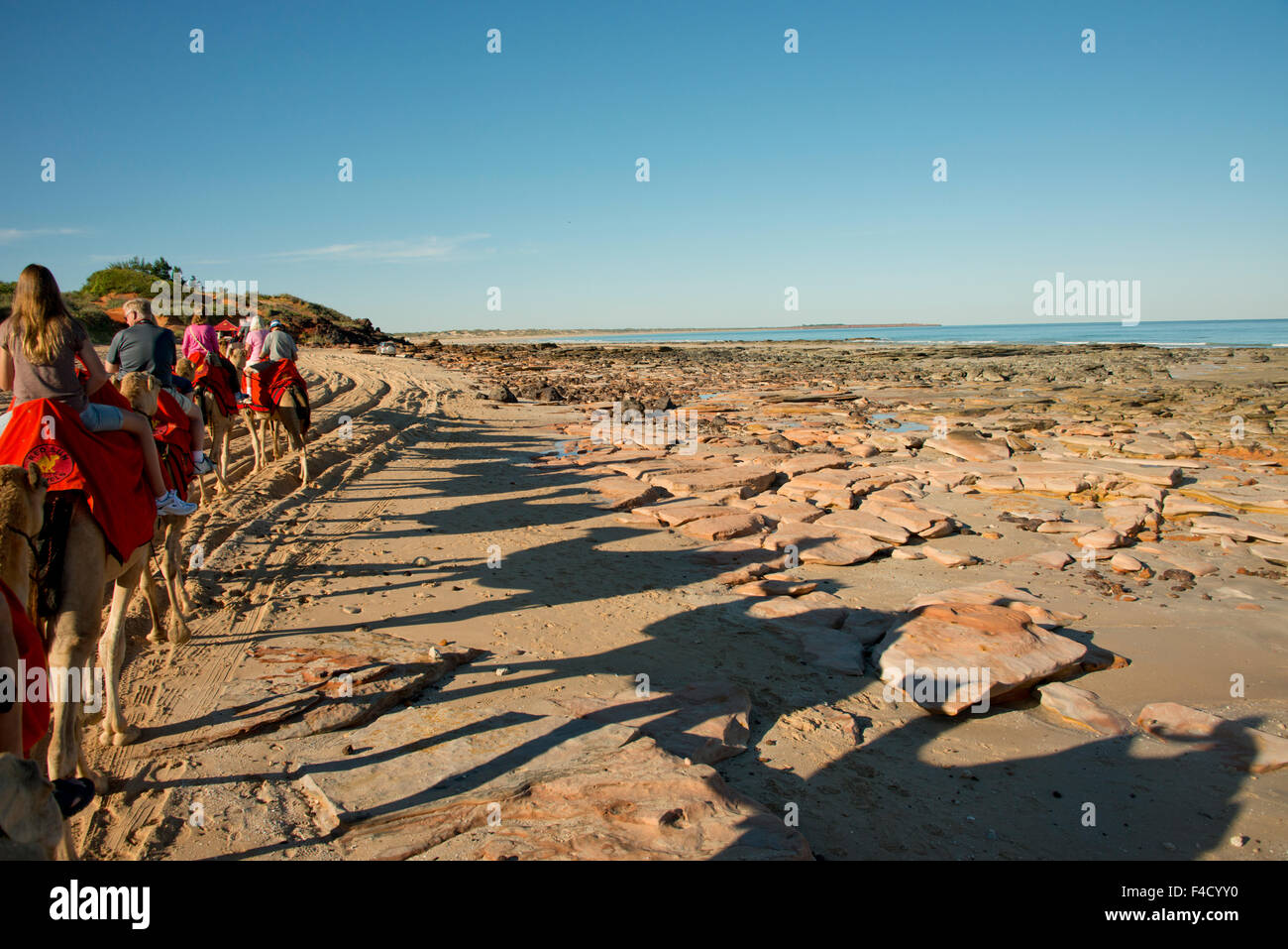 Australia, Cable Beach. Sightseeing camel ride along Cable Beach and
