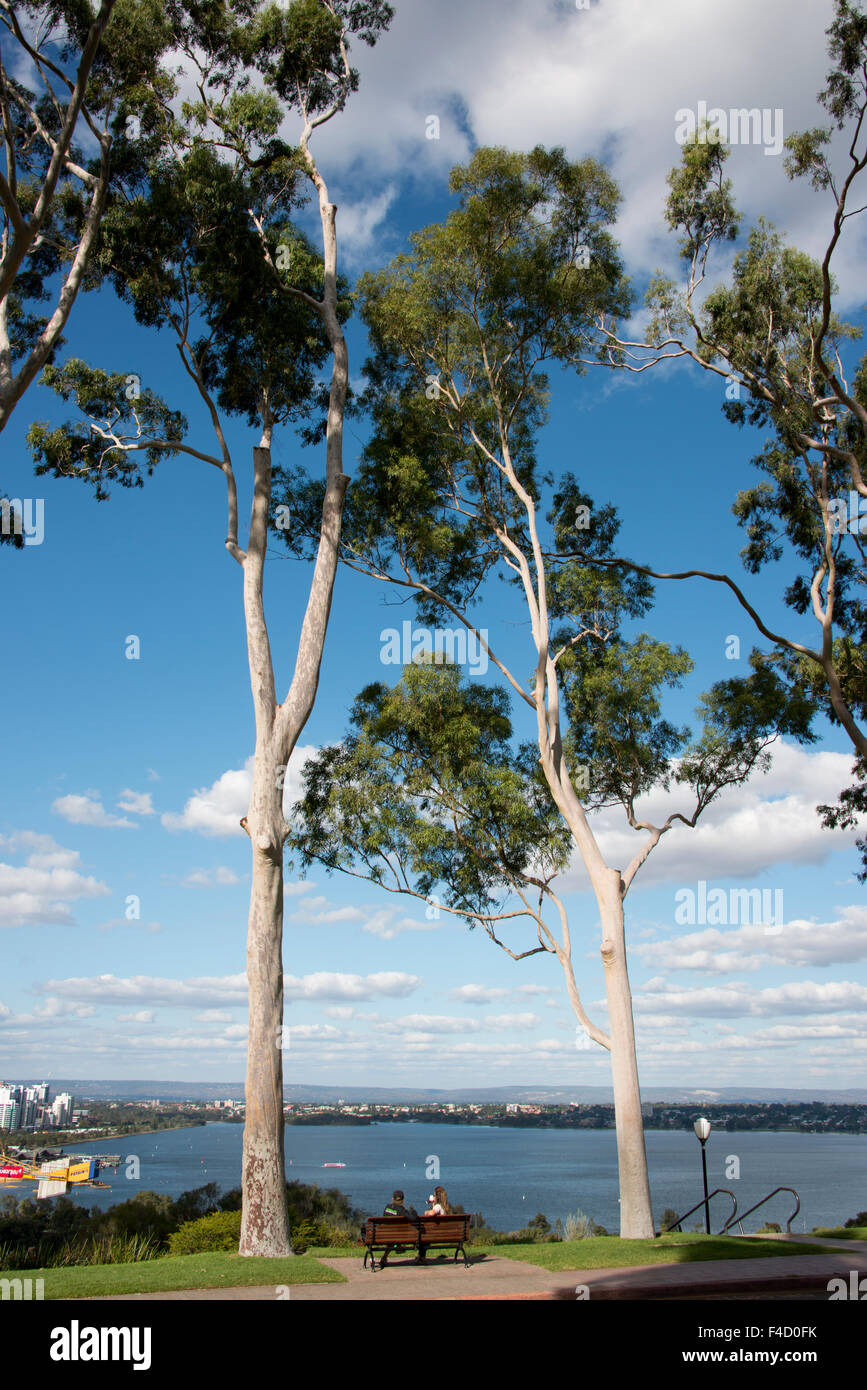 Australia, Perth. King's Park. Swan River view from Fraser Avenue, Lemon-scented gum tree lined road (Corymbia citriodora), planted in 1938. (Large format sizes available) Stock Photo