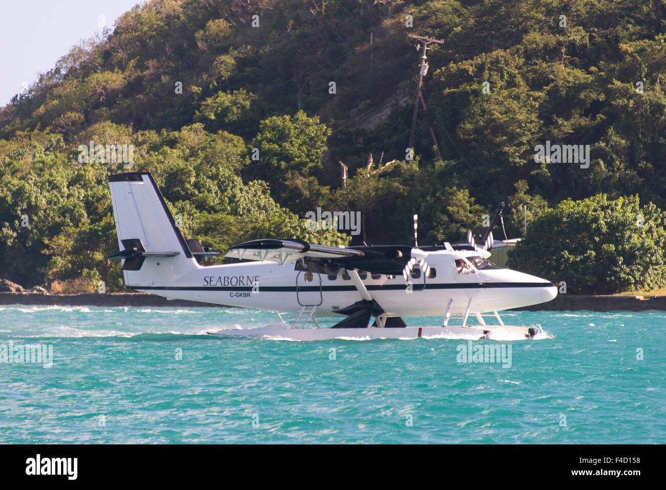 USVI, St Thomas, Charlotte Amalie. Seaplane lands near ferry terminal Stock Photo