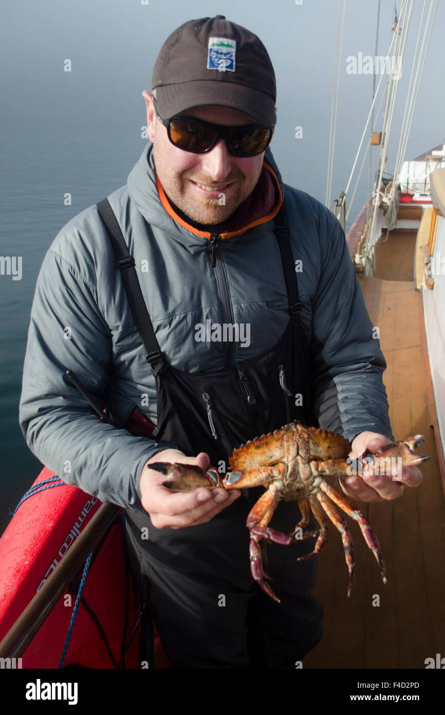 SV Maple Leaf First Mate Brandon Harvey shows off Red Rock Crab (Cancer productus), Gulf Islands, British Columbia, Canada. Stock Photo