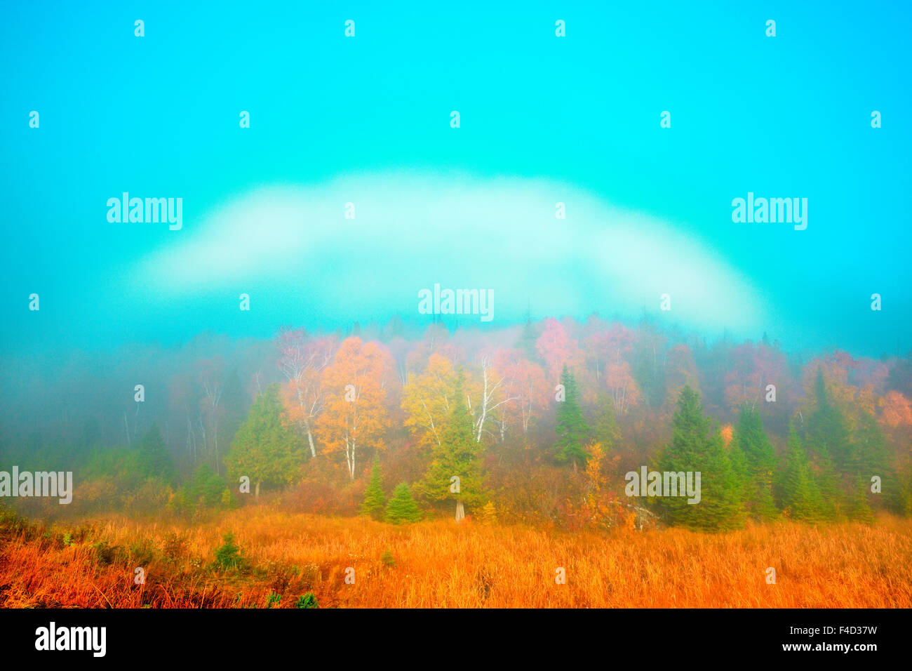 Canada, Manitoba, Whiteshell Provincial Park. Fogbow over forest in autumn colors. Credit as: Mike Grandmaison / Jaynes Gallery / DanitaDelimont.com Stock Photo