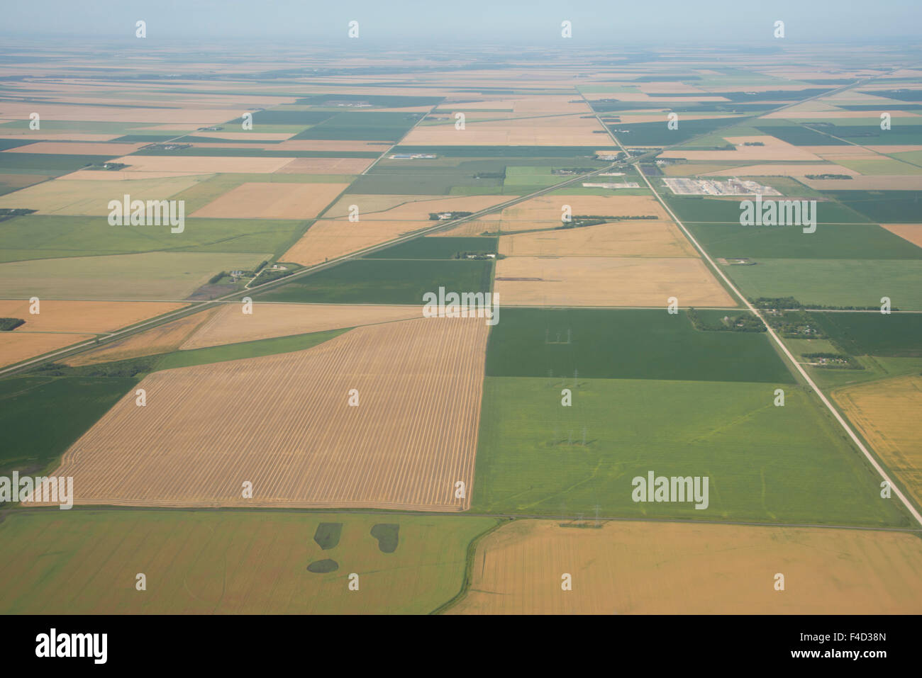 Canada, Manitoba, Winnipeg. Aerial view of rural farmland around the