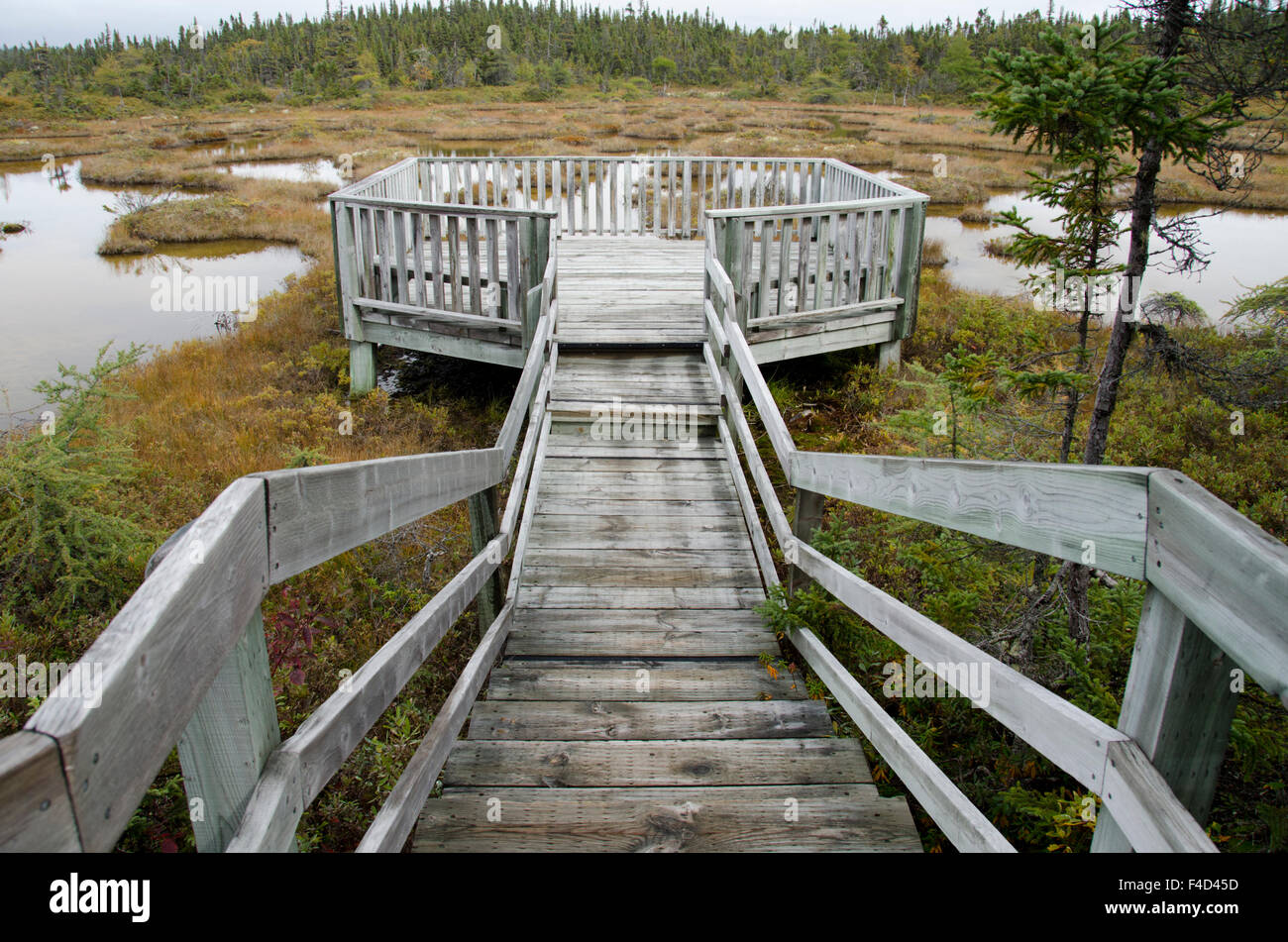 Canada, Quebec, Havre St. Pierre, Mingan Archipelago National Park, lle
