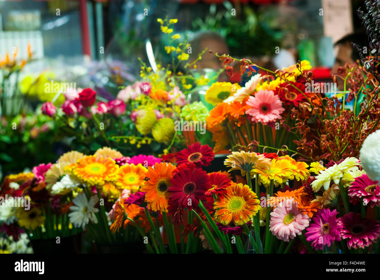 Canada, Montreal, Marche Jean Talon market, flowers Stock Photo