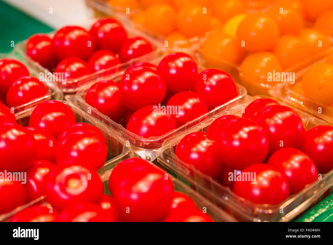 Canada, Montreal, Marche Jean Talon market, tomatoes Stock Photo