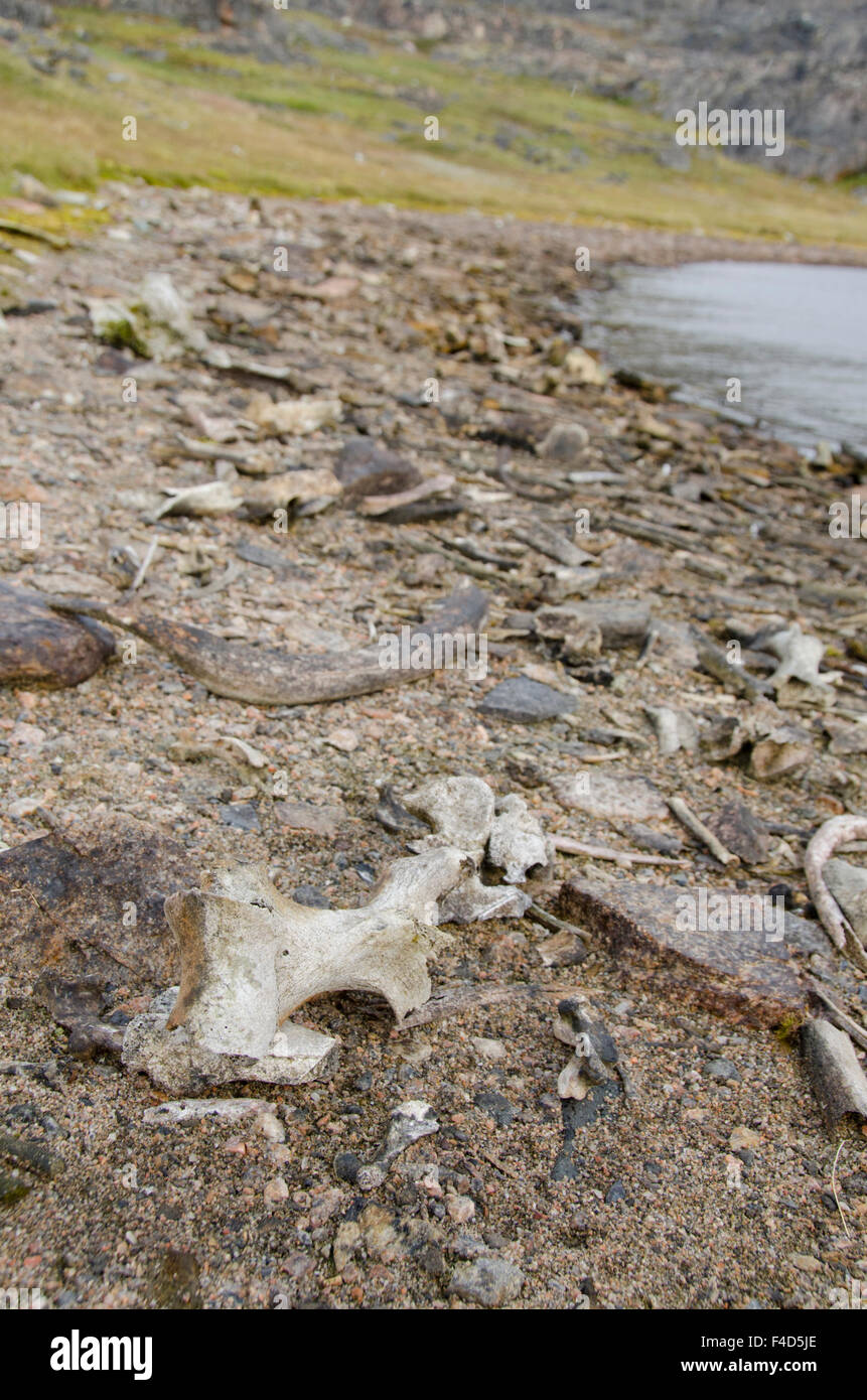 Canada, Nunavut, Cape Dorset. Mallikjuag Territorial Park
