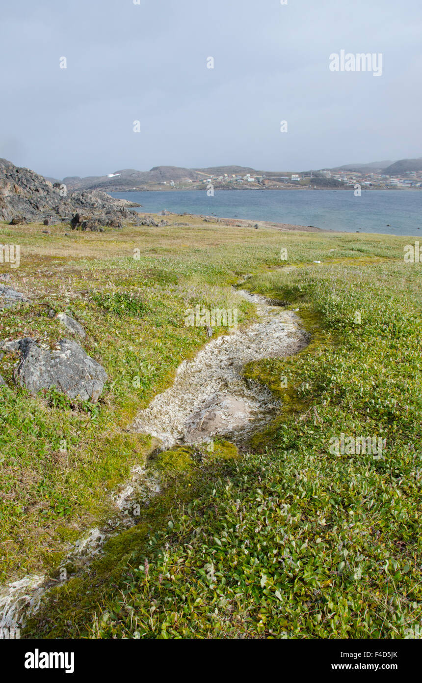 Canada, Nunavut, Cape Dorset. Mallikjuag Territorial Park