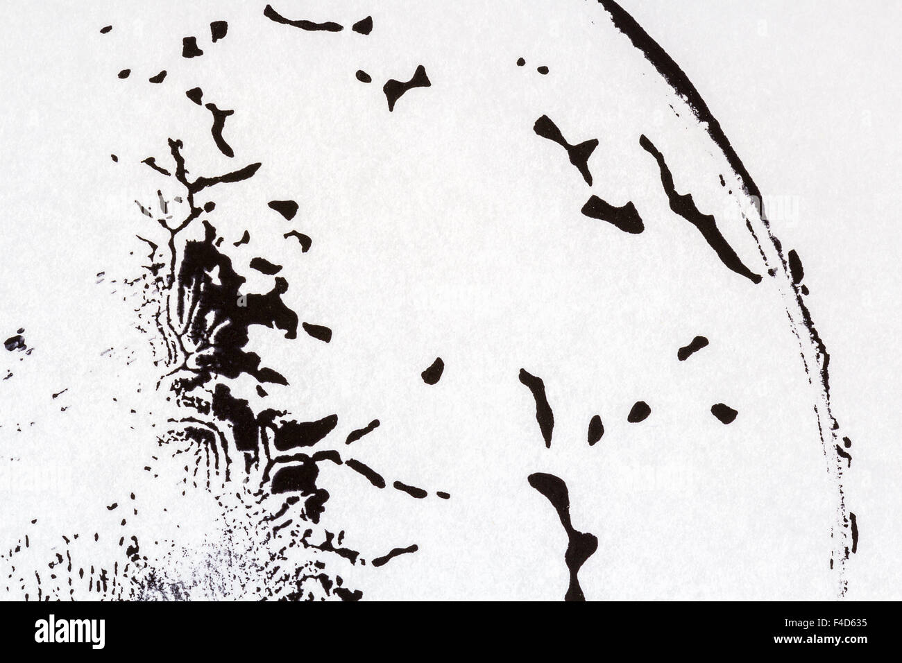 Abstract hand painted black and white acrylic arts background Stock