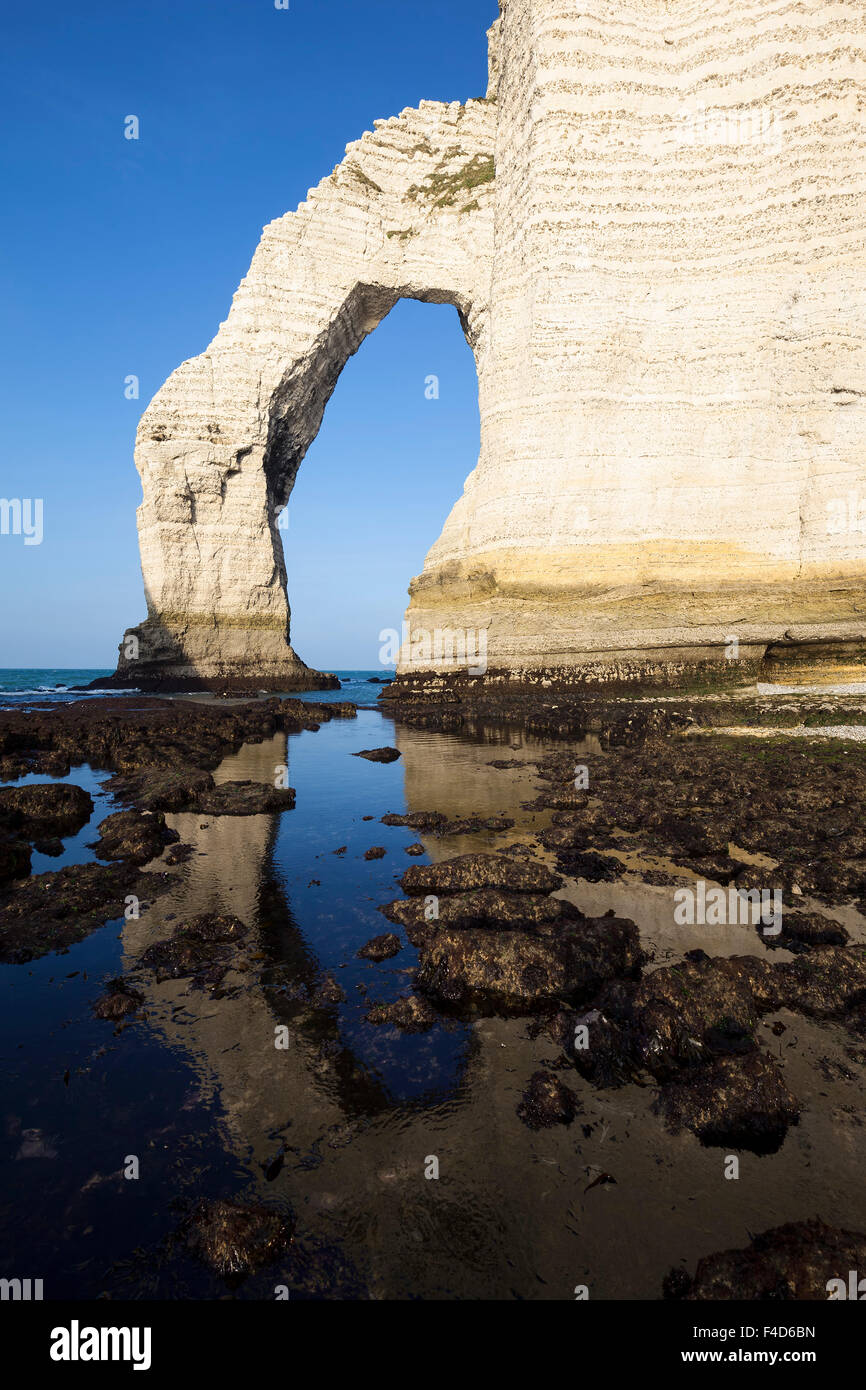 Vertical view of Etretat Aval cliff, Normandy, France, Europe Stock ...