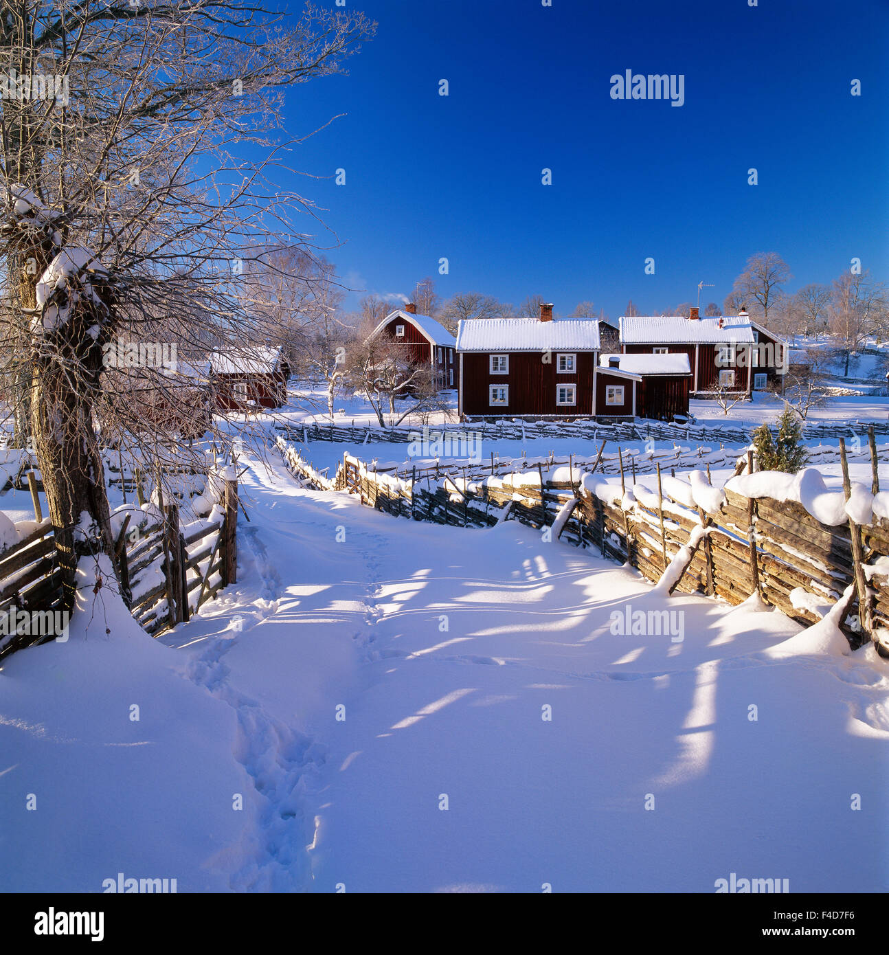 Farm in the winter Stock Photo - Alamy
