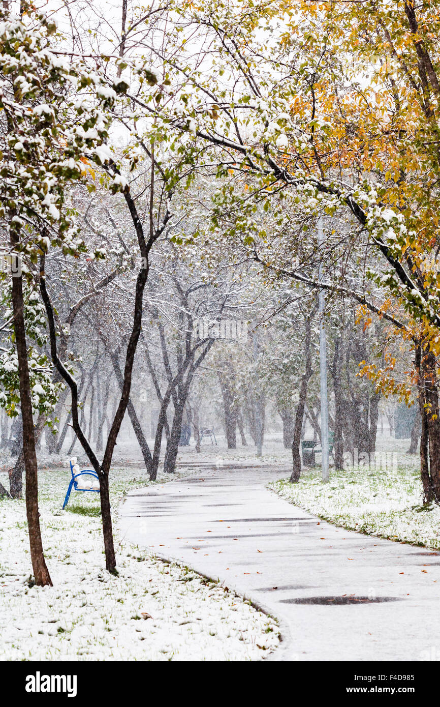 First snowfall on day hi-res stock photography and images - Alamy