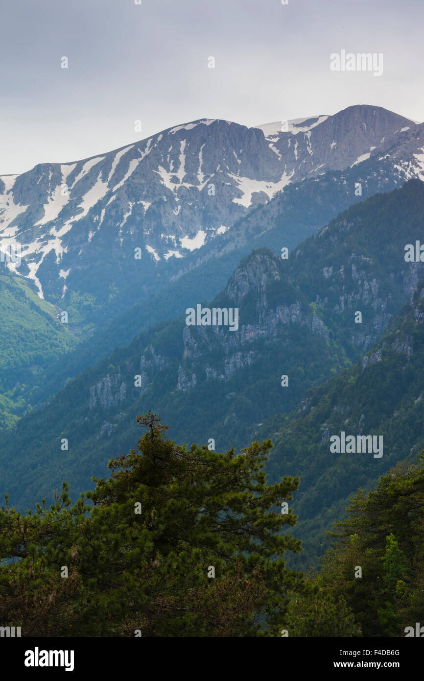 Greece, Central Macedonia, Litohoro, Mount Olympus, seen from Mount Olympus car road Stock Photo