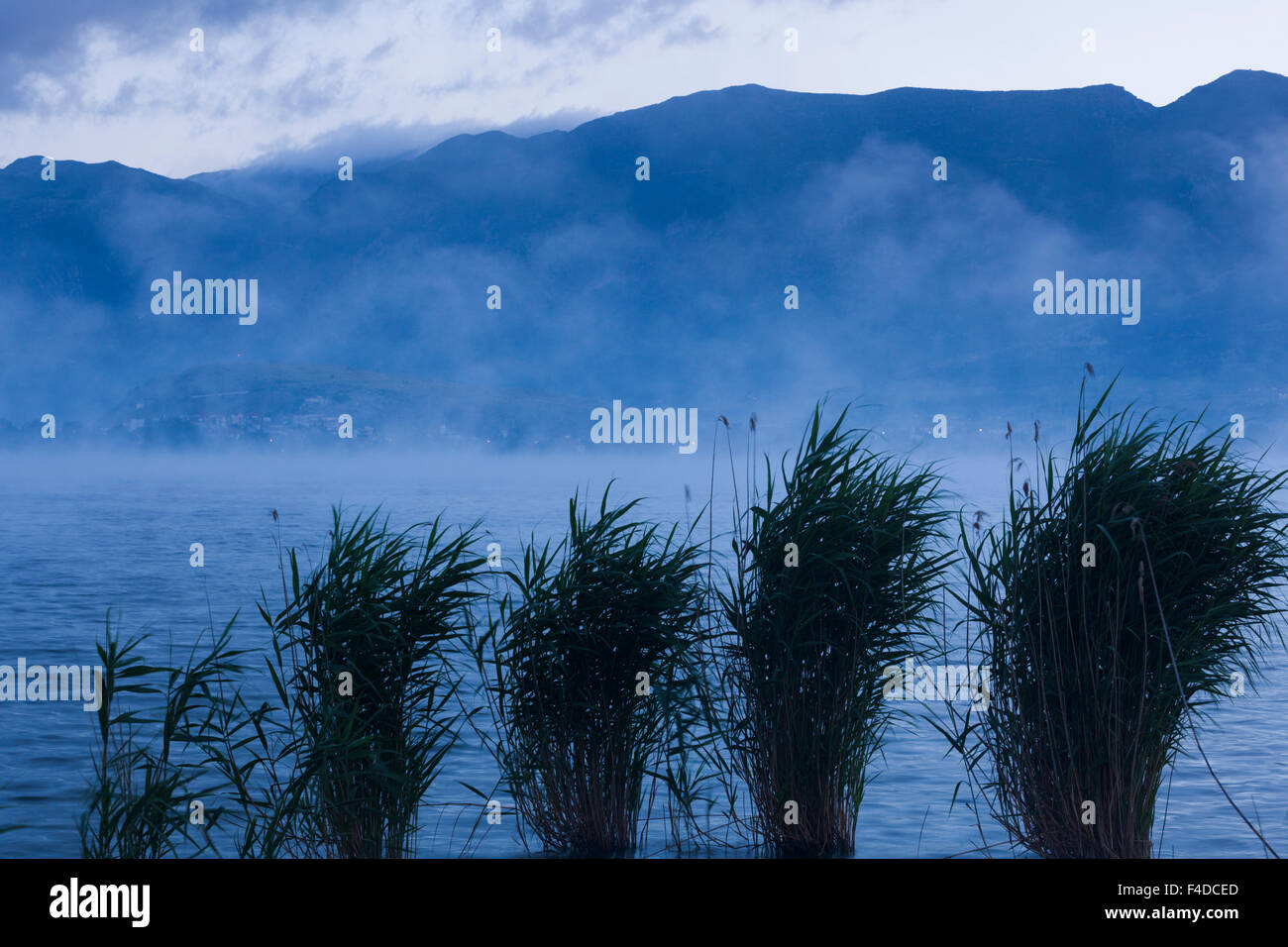 Greece, Epirus, Ioannina, lake mist and reeds, Lake Pamvotis, dawn Stock Photo