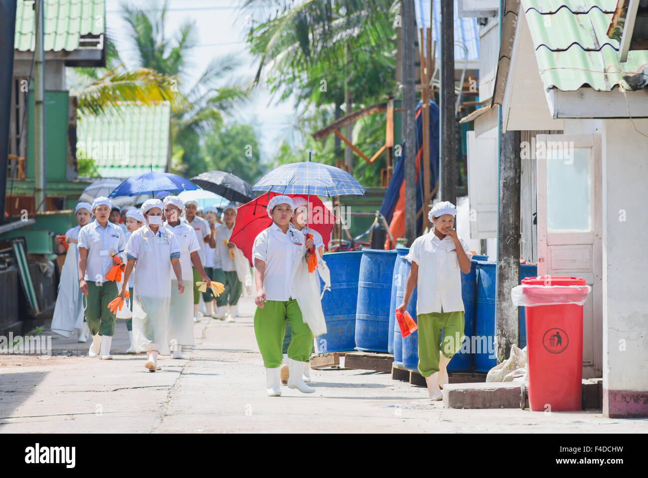 Fish processing plant hires stock photography and images Alamy