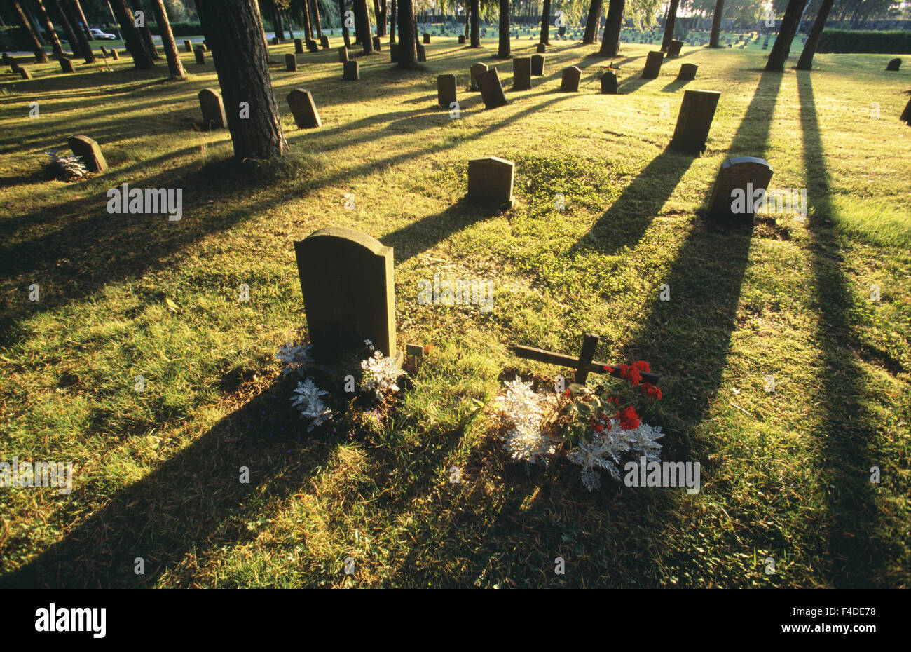 Graveyards amidst tree trunks Stock Photo