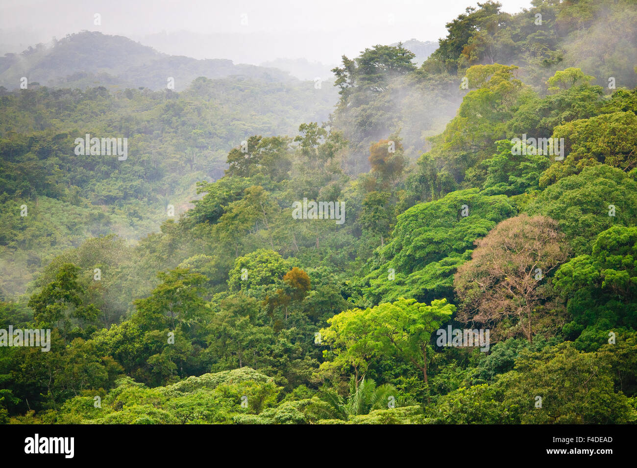 Panama landscape with misty tropical rainforest below Cerro la Vieja in Chiguiri Arriba, Cocle province, Republic of Panama, Central America. Stock Photo
