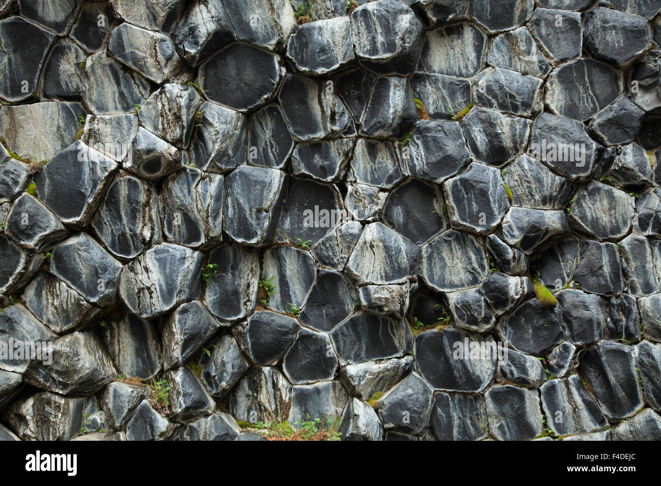 Honeycomb pattern of basalt rock at Hljodaklettar, Jokulsargljufur, Nordhurland Eystra, Iceland. Stock Photo