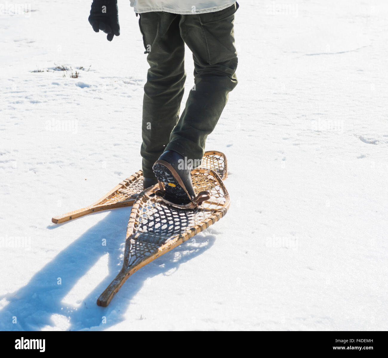 Snowshoe walk Stock Photo Alamy