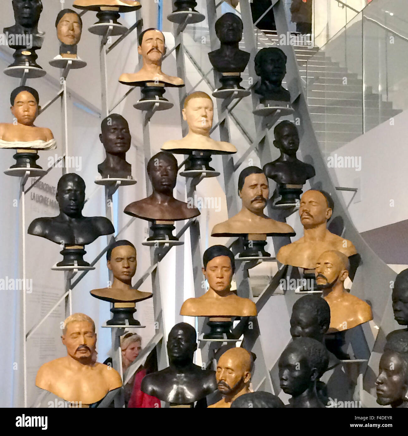 A gallery of busts of different ethnicities is seen at the Musée de l'Homme (Museum of Men) in Paris, France, 16 October 2015. After six years of renovation the museum re-opens on 17 October 2015. Photo: Sabine Glaubitz/dpa Stock Photo