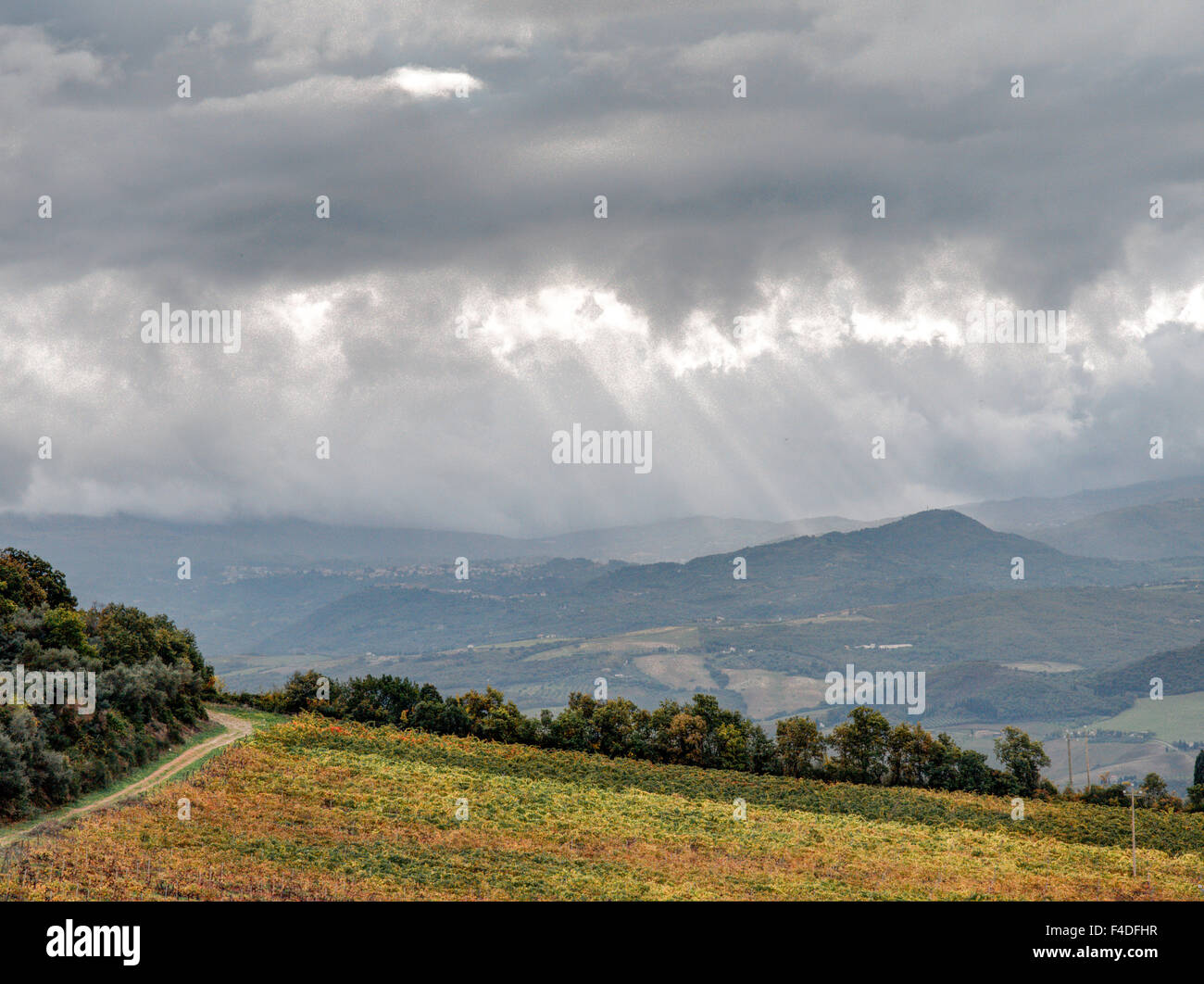 Europe, Italy, Tuscany. Sun rays filtering down from the clouds in ...