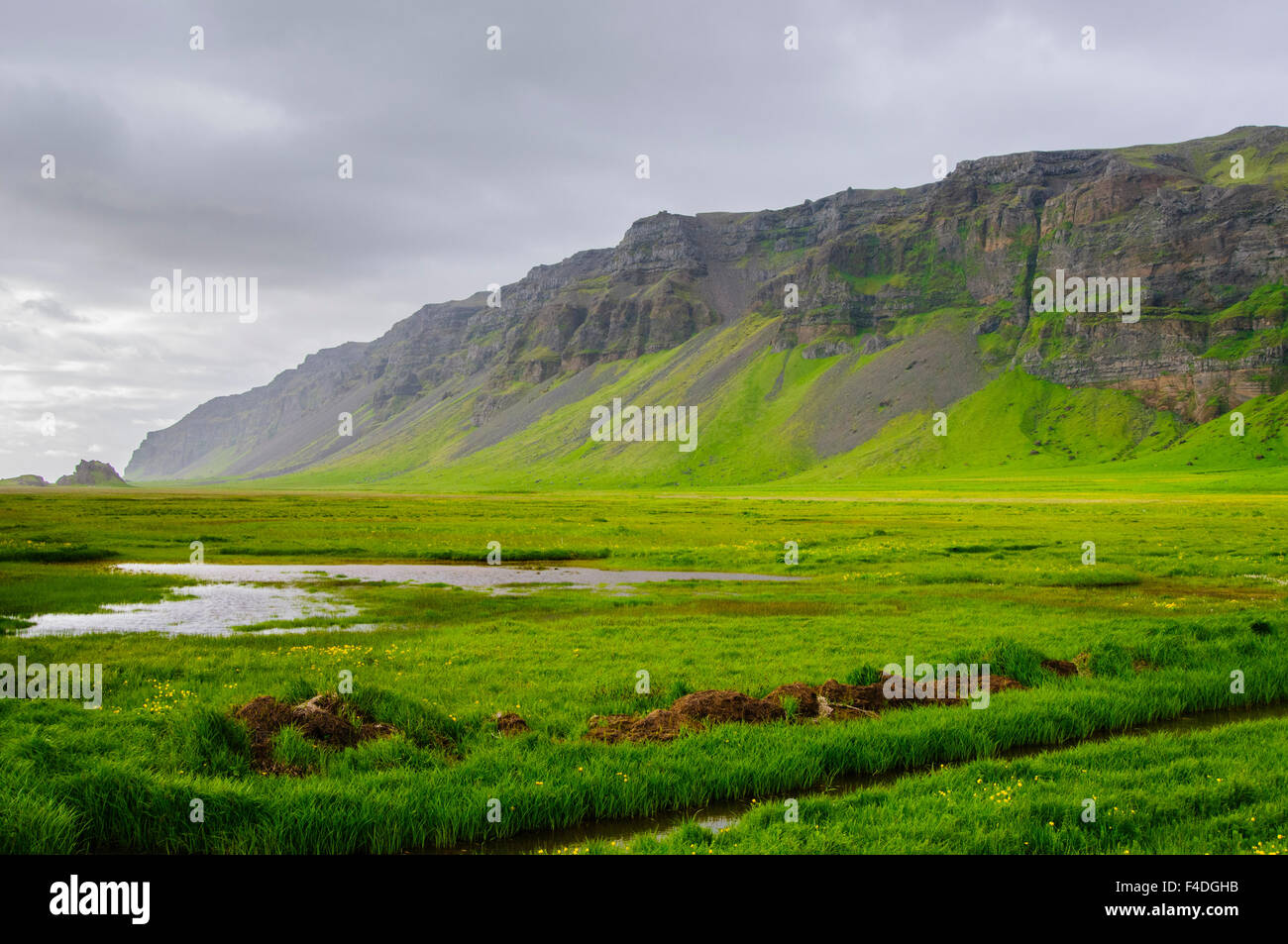 Iceland. South. Near Skogafoss. Farmland along the Ring road Stock