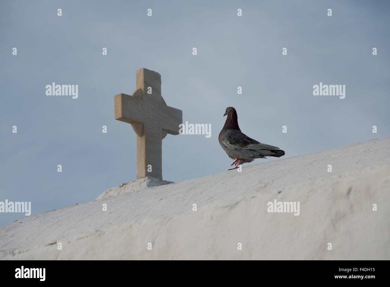 Greece, Cyclades, Mykonos, Hora. Pigeon on typical whitewashed church rooftop showing traditional Cycladic architecture. (Large format sizes available). Stock Photo