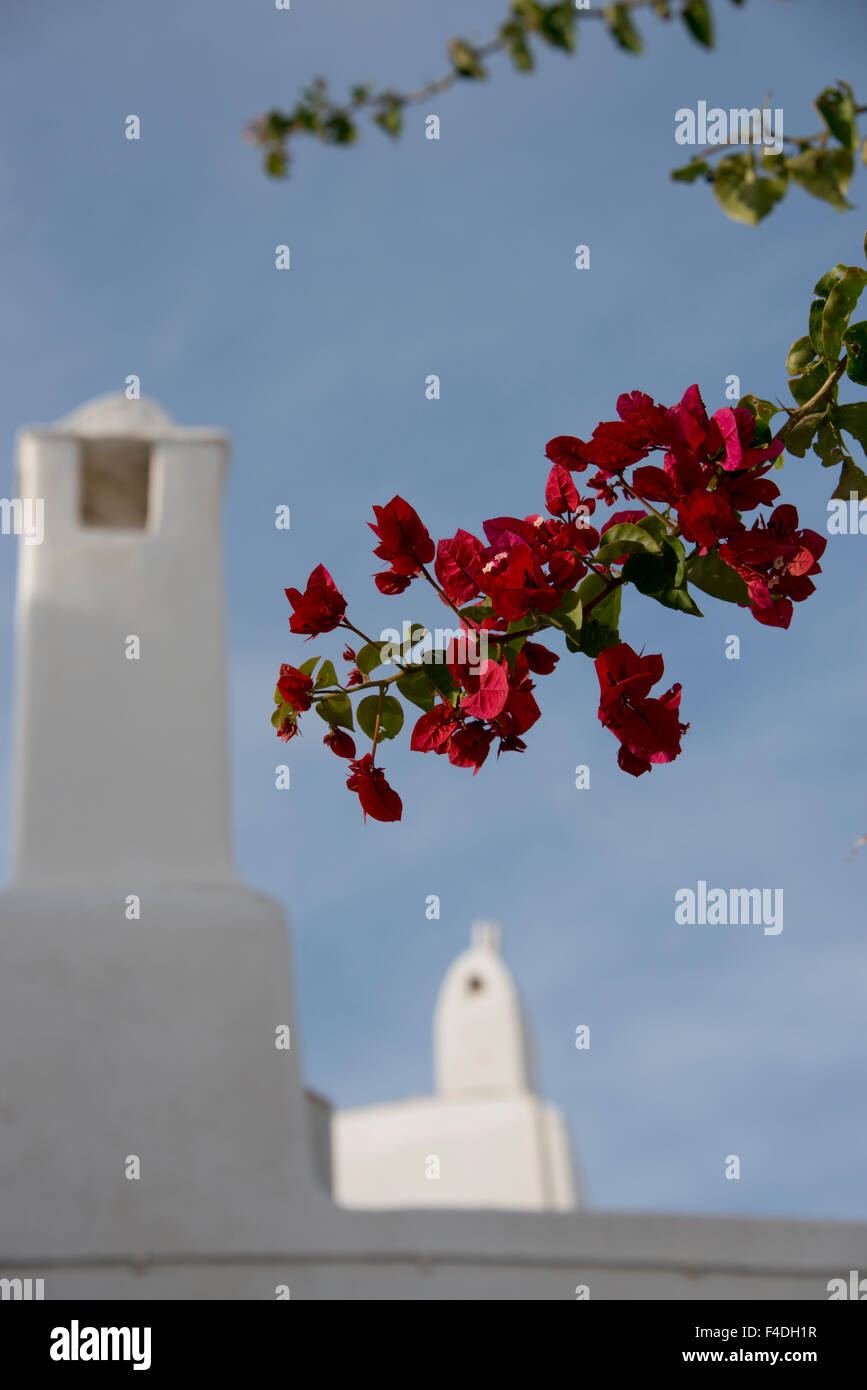 Greece, Cyclades, Mykonos, Hora. Typical whitewashed rooftop showing traditional Cycladic architecture. (Large format sizes available). Stock Photo