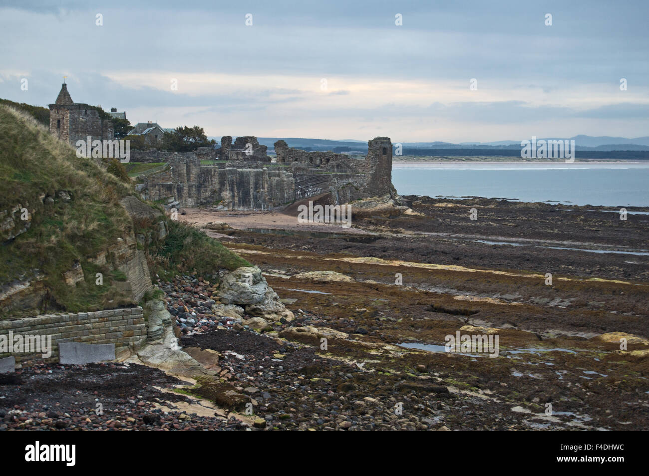 St Andrews castle and West Sands, Scotland Stock Photo