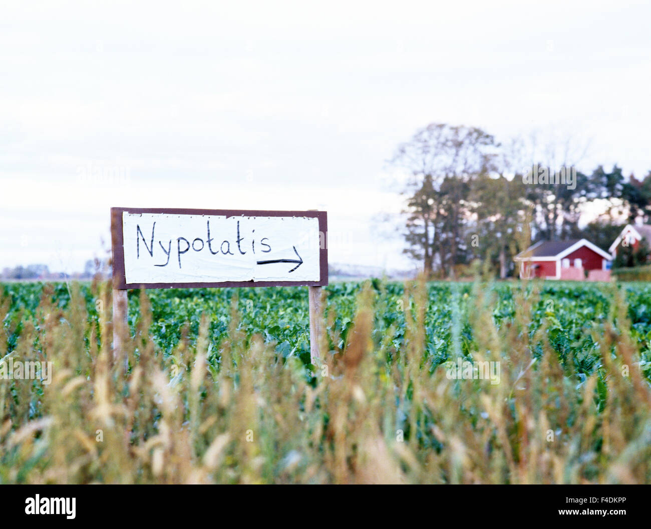 Sign placed in a field Stock Photo - Alamy