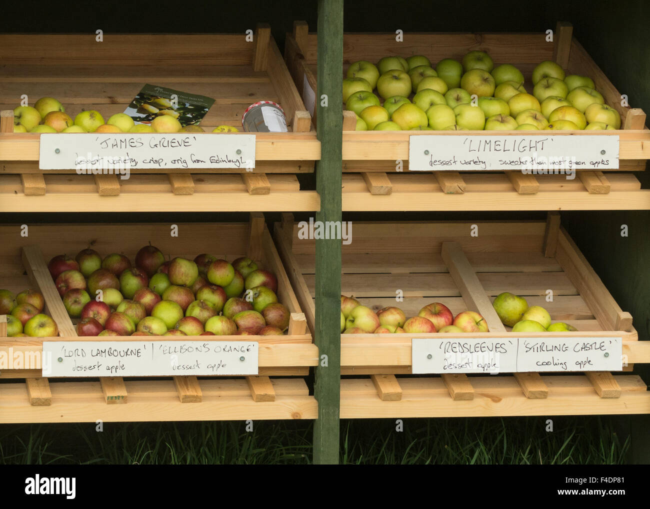 Selection of British Apples available for tasting on public footpath next to Tweed Valley Fruit Trees, Peebles, Scotland Stock Photo