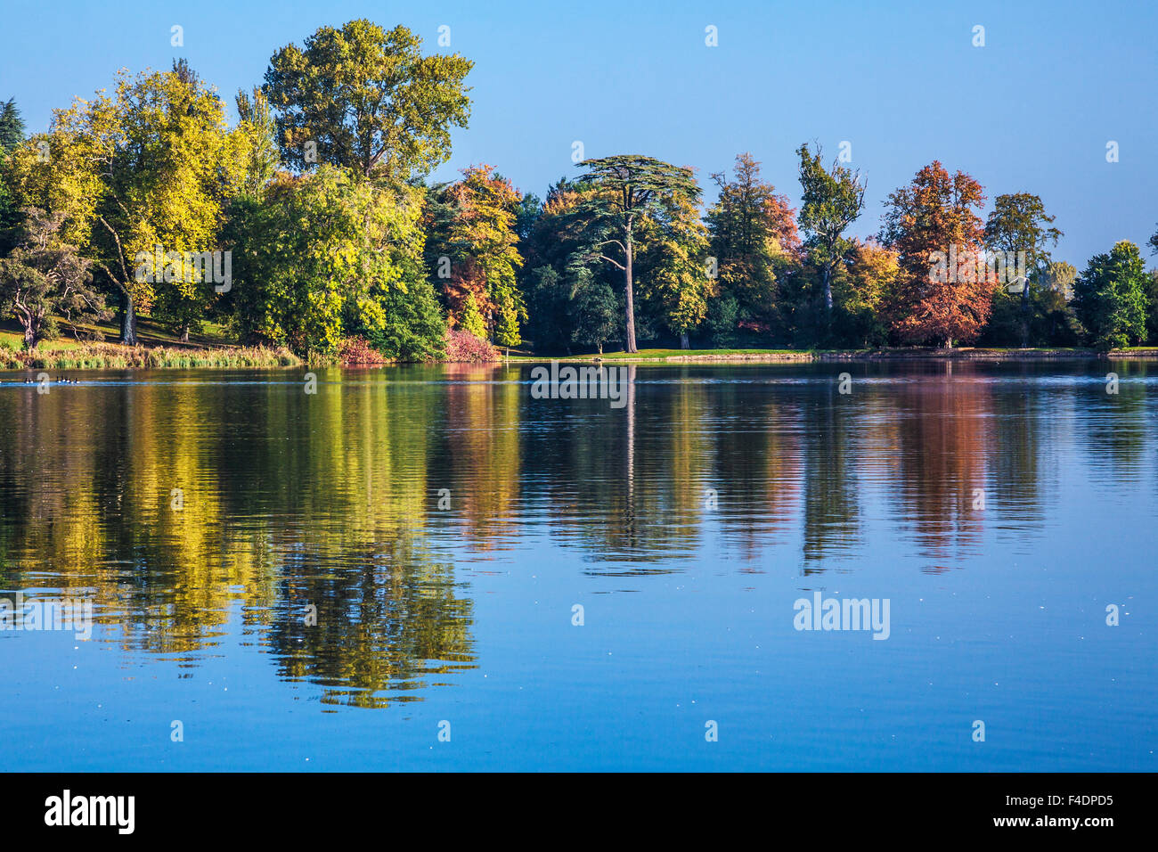 Autumnal view of the lake on the  Bowood Estate in Wiltshire. Stock Photo
