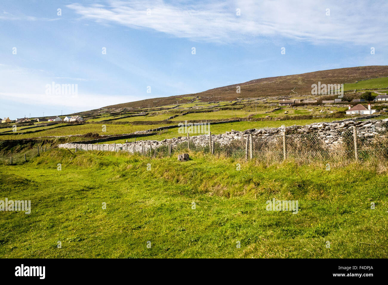 Lush green hills, stone wall and fenced pasture land of Ireland, green scenic farmland under a blue sky. Stock Photo