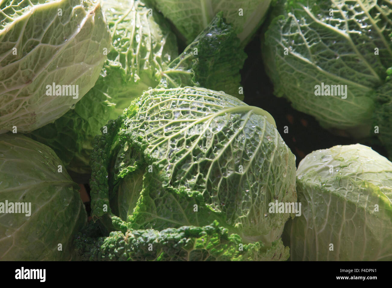 Cabbages for sale at open air market in Caldas da Rainha Stock Photo