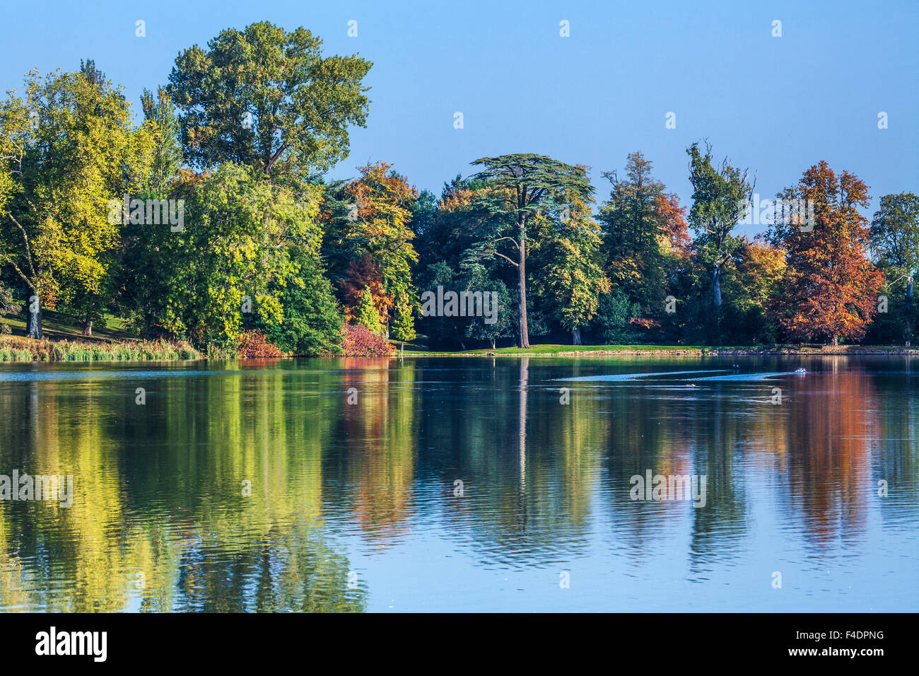 Autumnal view of the lake on the Bowood Estate in Wiltshire. Stock Photo