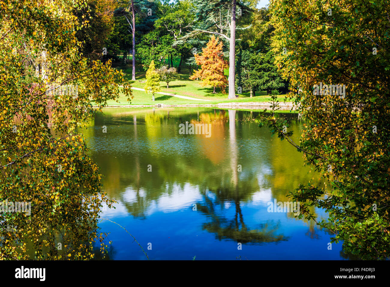 Autumnal view of the lake on the  Bowood Estate in Wiltshire. Stock Photo