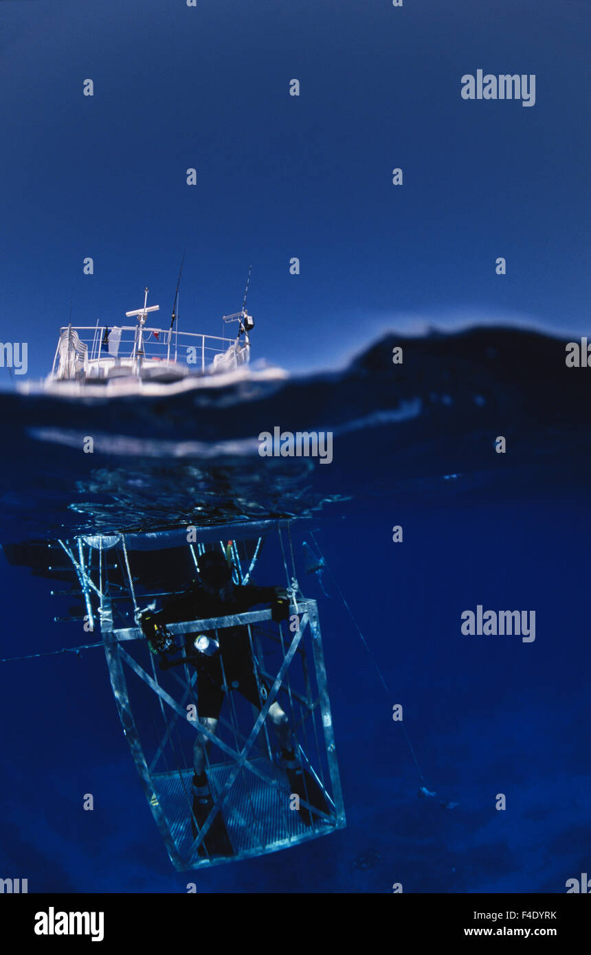 Man in cage, underwater (Large format sizes available Stock Photo Alamy