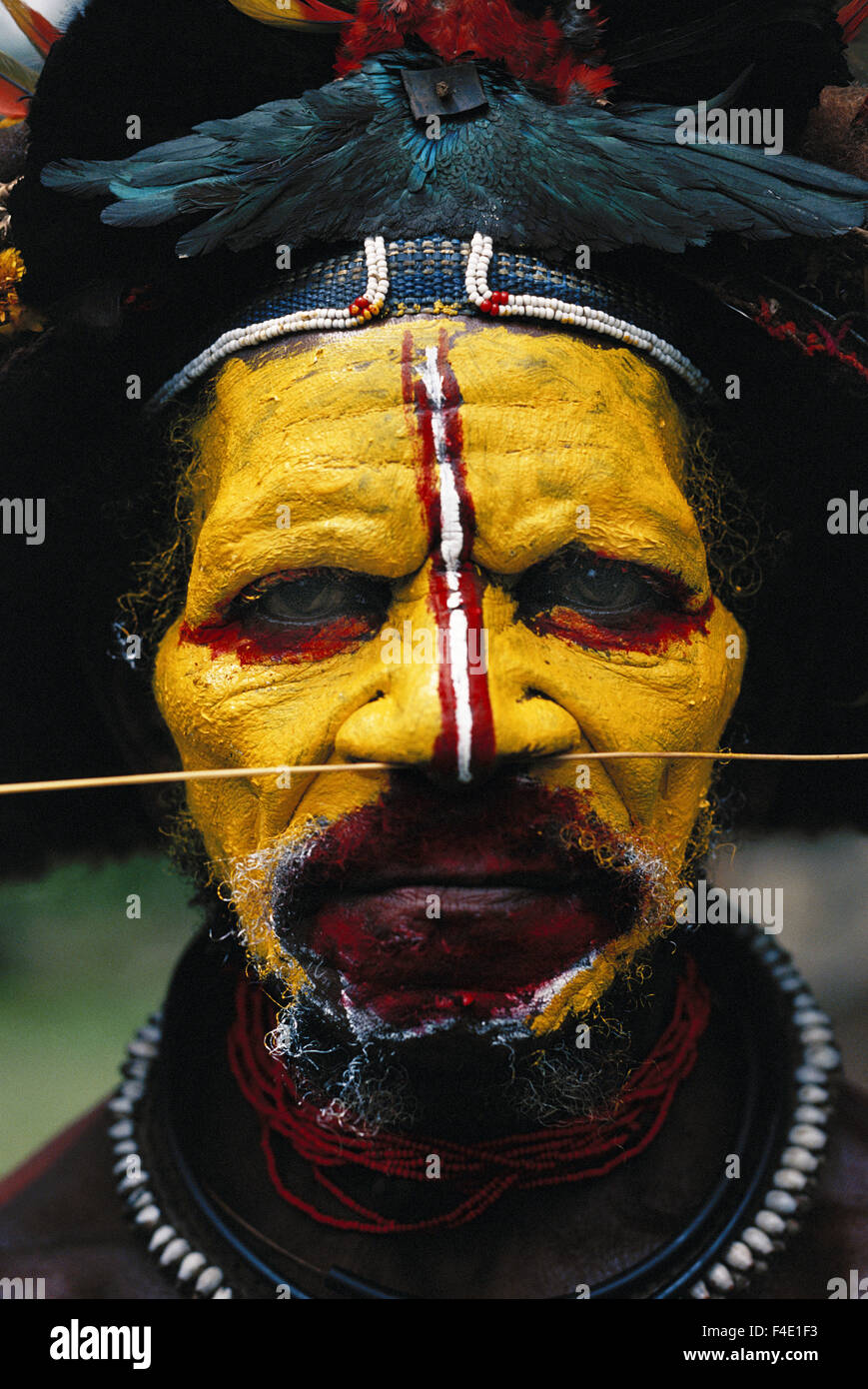 Papua New Guinea. man wearing traditional clothing. (Large format sizes available) Stock Photo