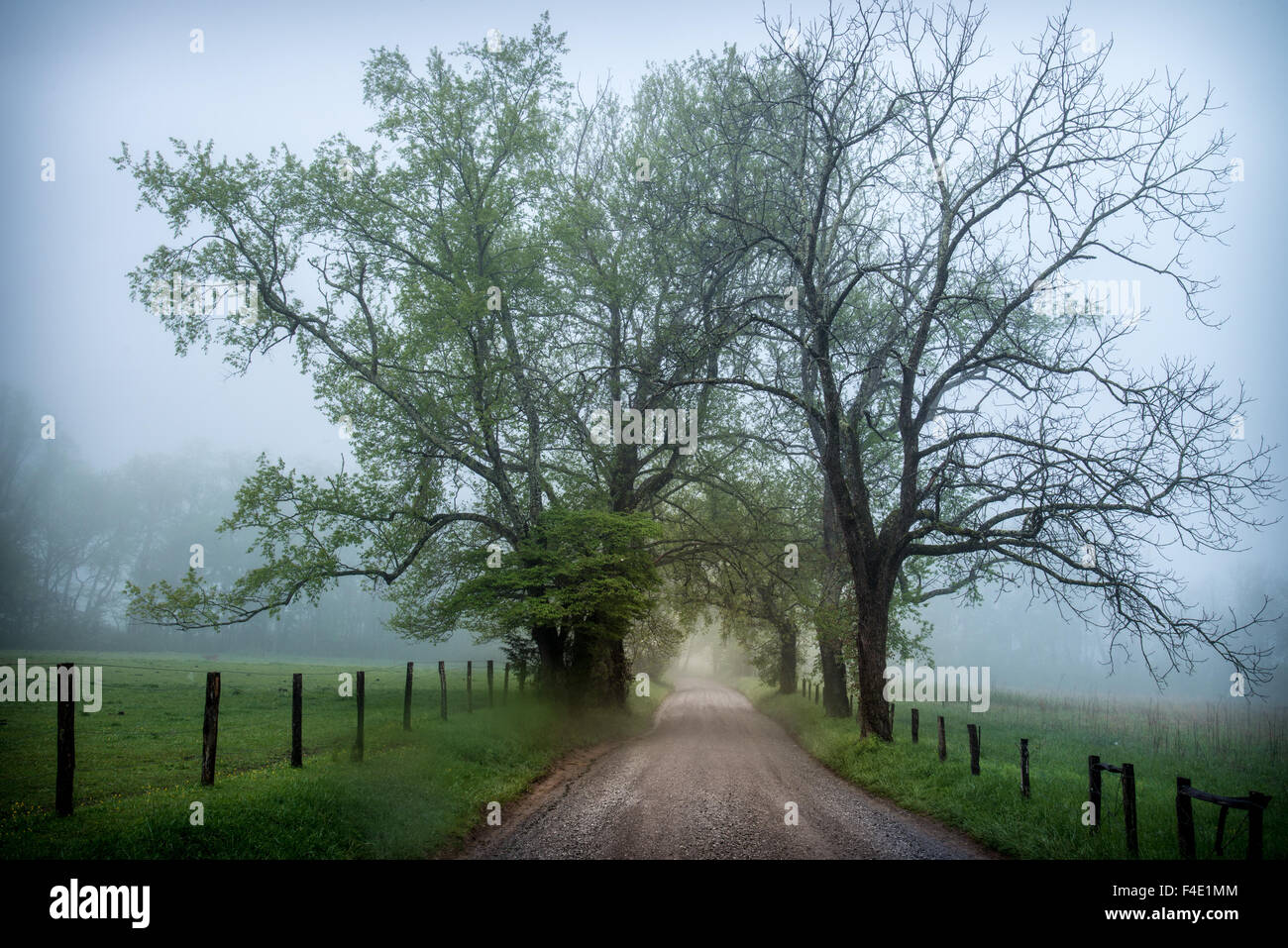 A foggy morning along Sparks Lane in Cade's Cove, Great Smoky Mountains National Park, Tennessee, USA. - Stock Image