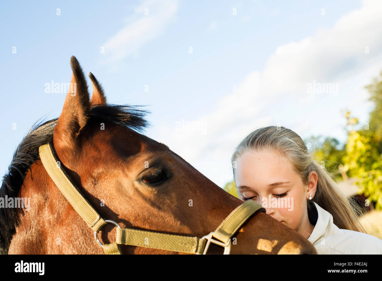 A teenagegirl and a horse, Sweden. Stock Photo