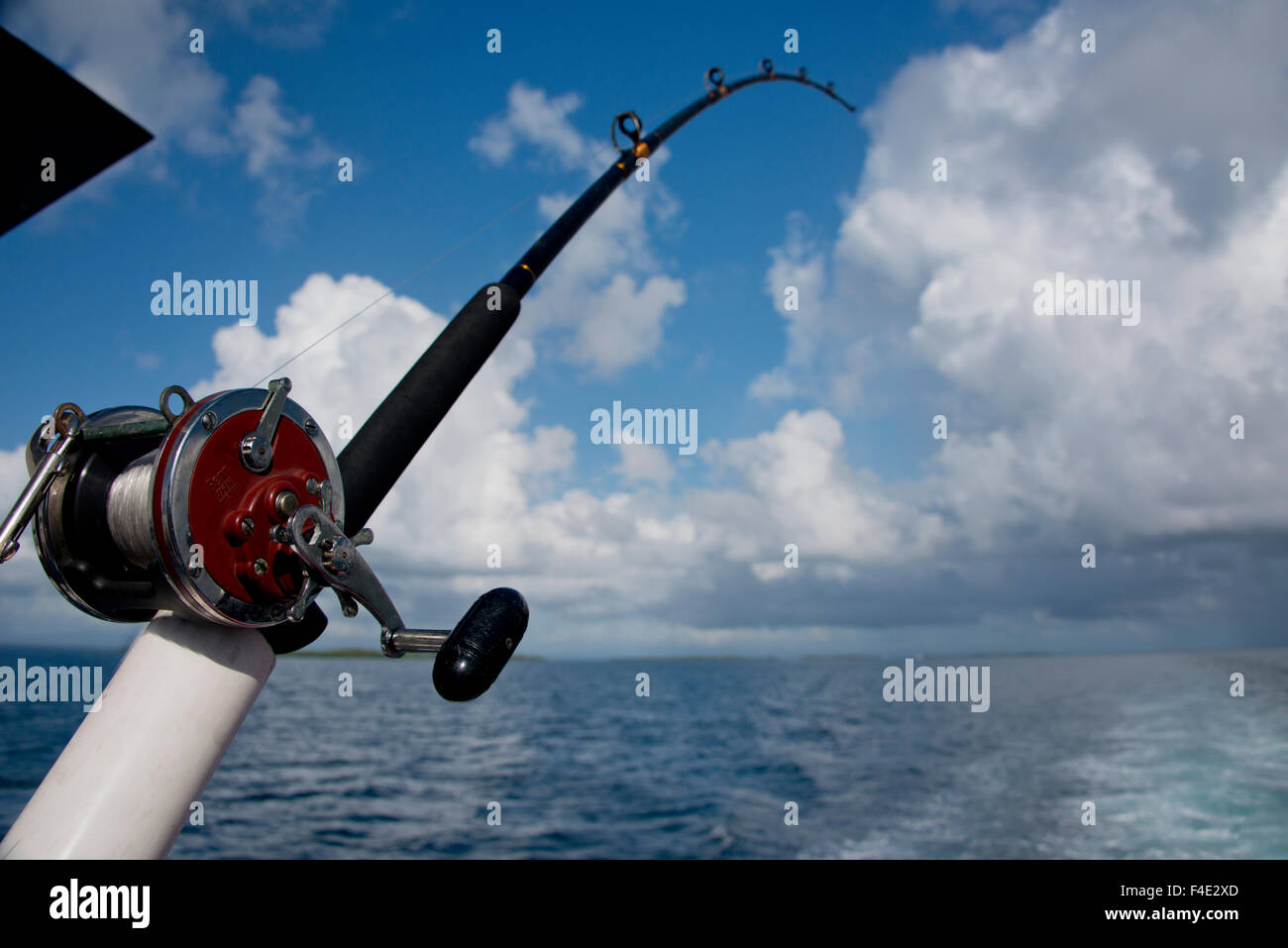 Belize, Caribbean Sea. Sport fishing in the Caribbean Sea near the
