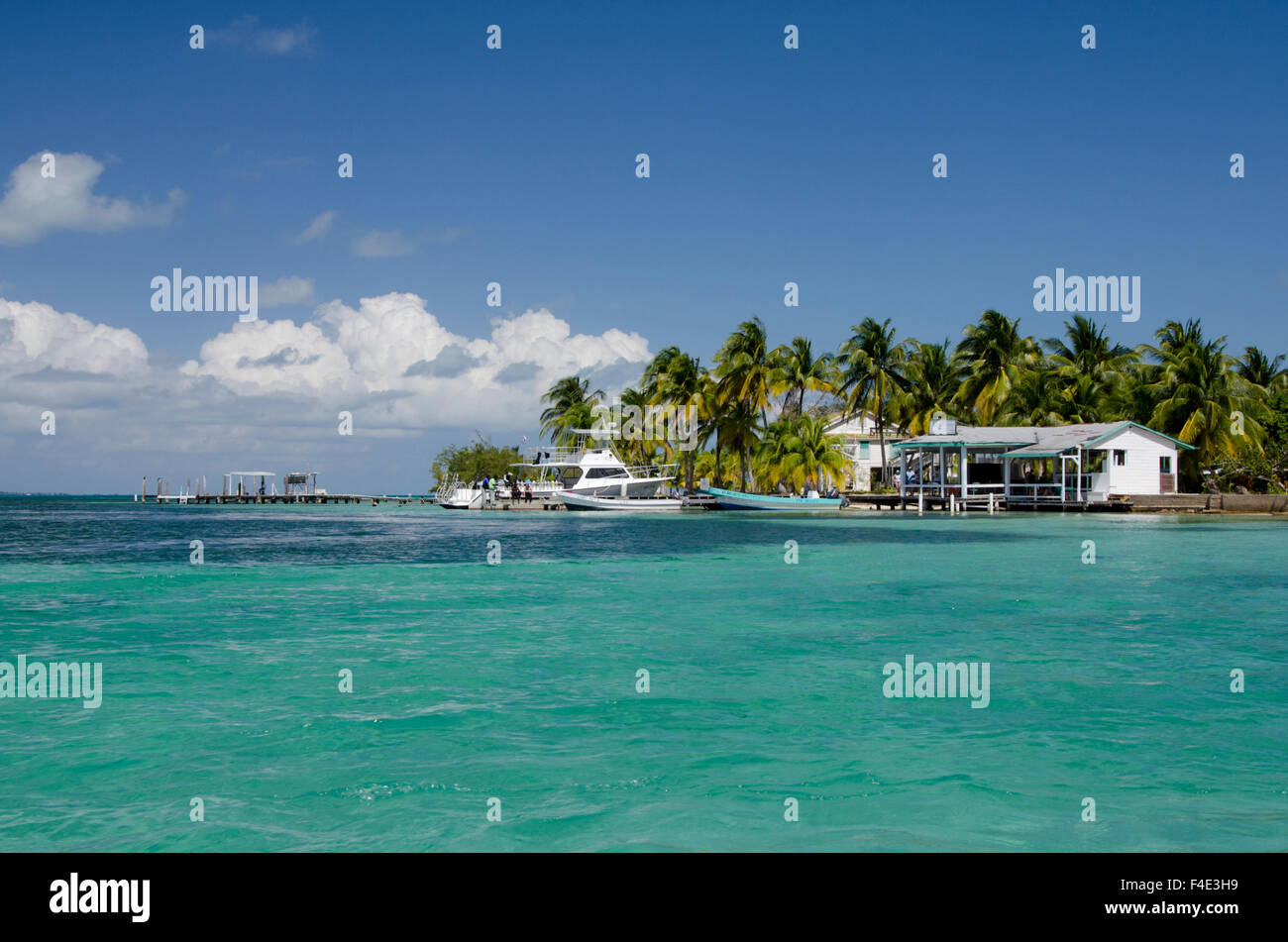 Belize, Stann Creek District. South Water Caye Marine Reserve, a 12