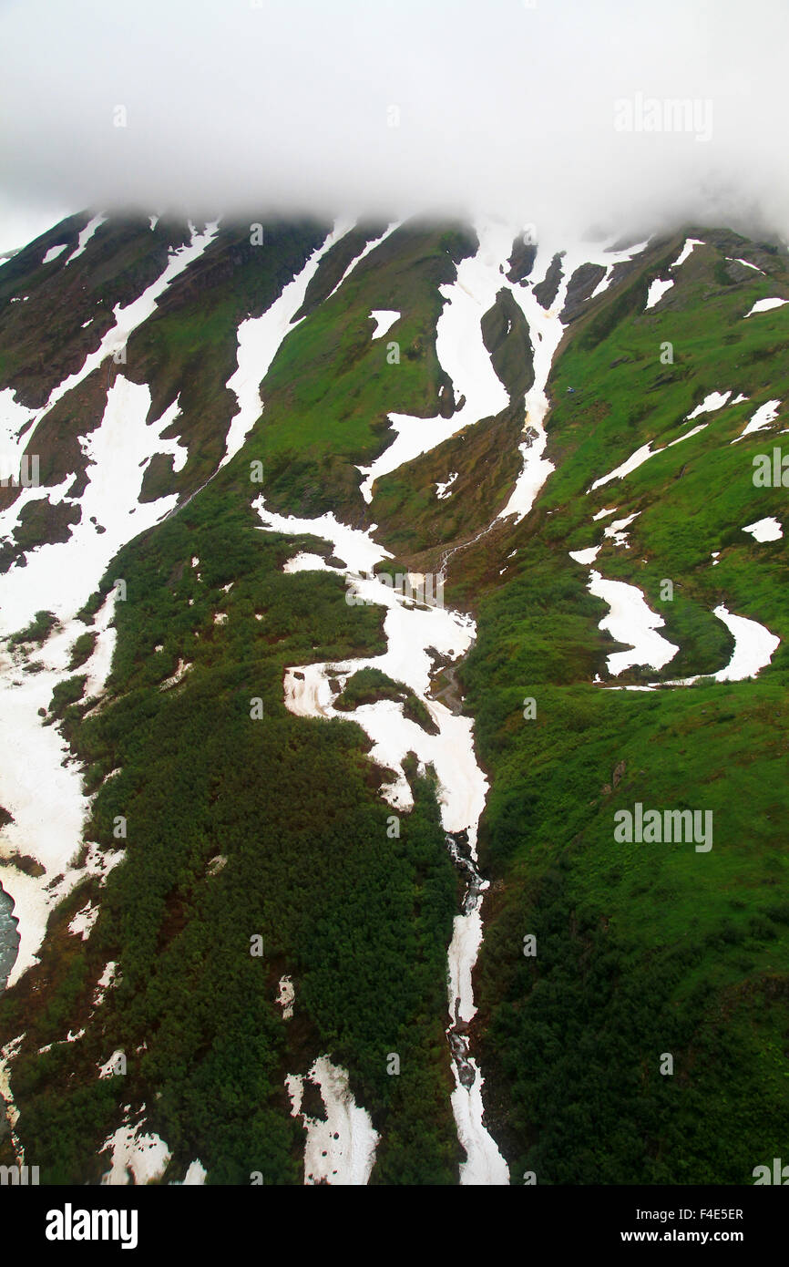 Aerial View Of The Tongass National Forest In Juneau Alaska On The Way aerial-view-of-the-tongass-national-forest-in-juneau-alaska-on-the-way
