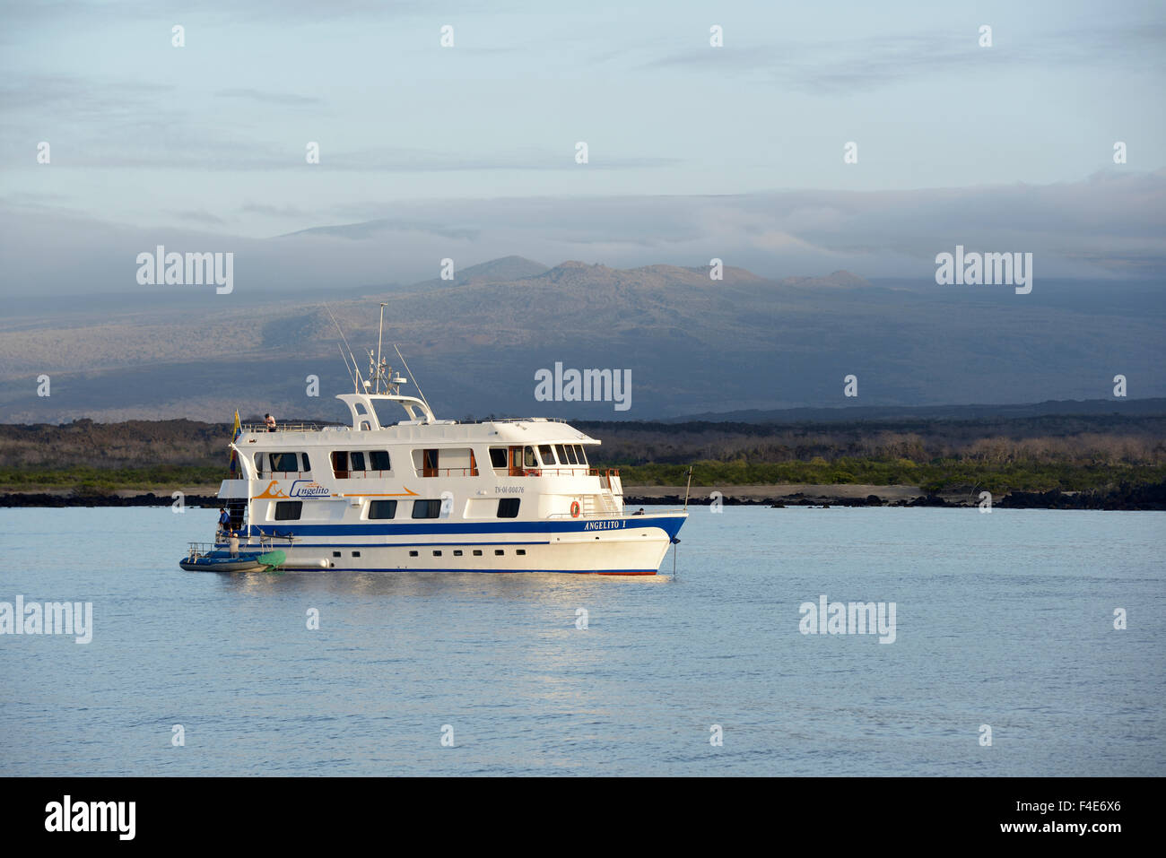 Anus cruise ships Anus cruise ships