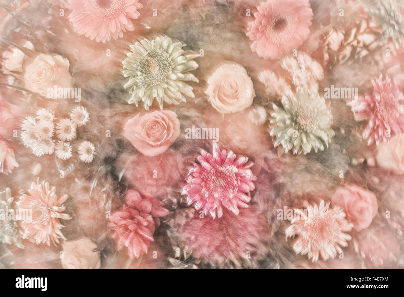 Mexico, Rancho La Puerta. Abstract impression of a flower arrangement. Credit as: Don Paulson / Jaynes Gallery / DanitaDelimont.com Stock Photo